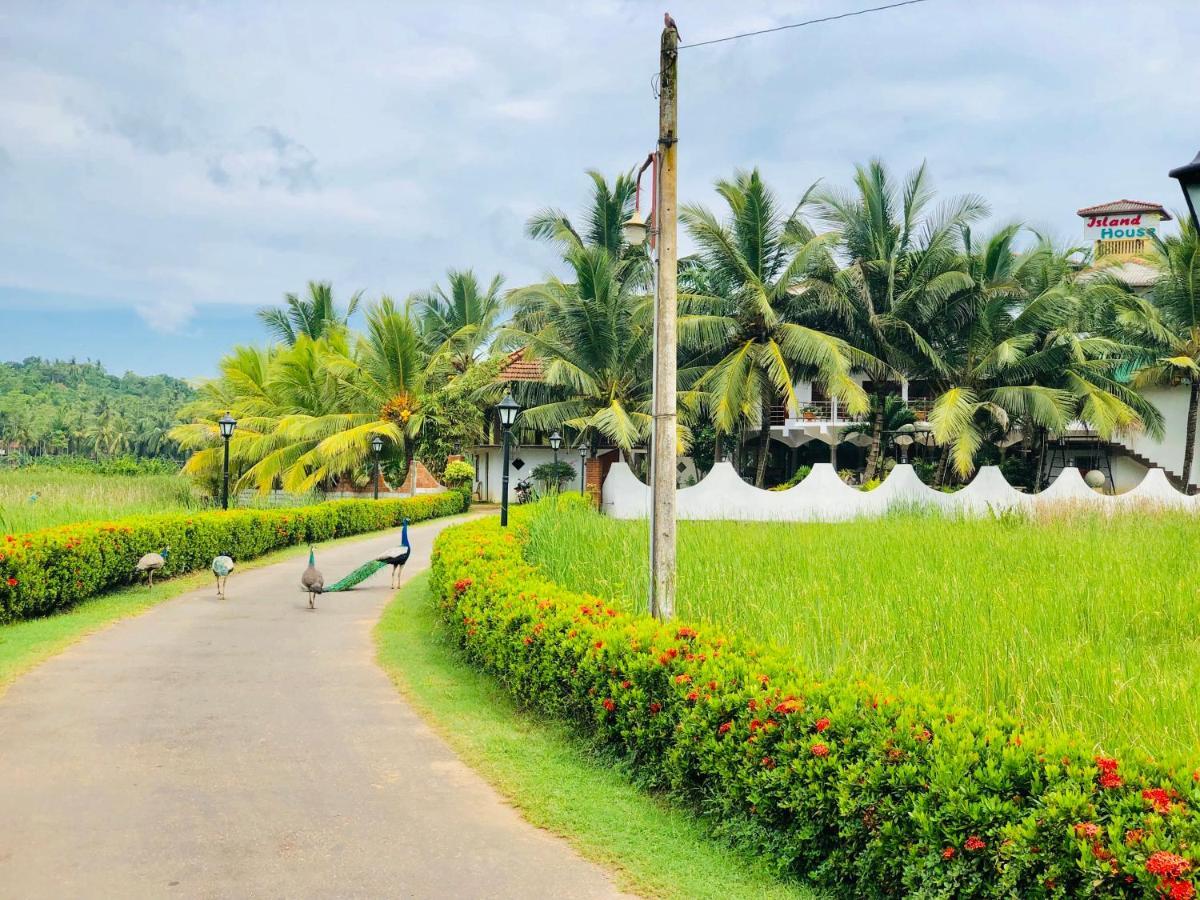 Island House Hotel Dikwella Exterior foto